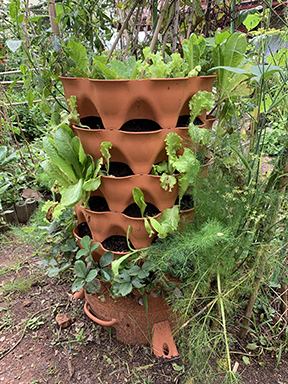 TowerGarden6